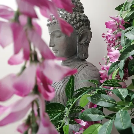 Asian & Luxury Diffused In Historical Center Gasthof 3*