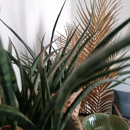 Asian & Luxury Diffused In Historical Center Gasthof 3*